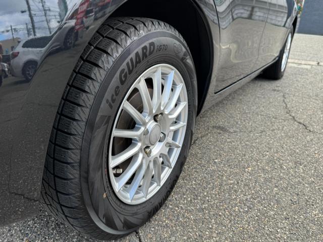 ヴィッツ（新潟県新潟市西区）