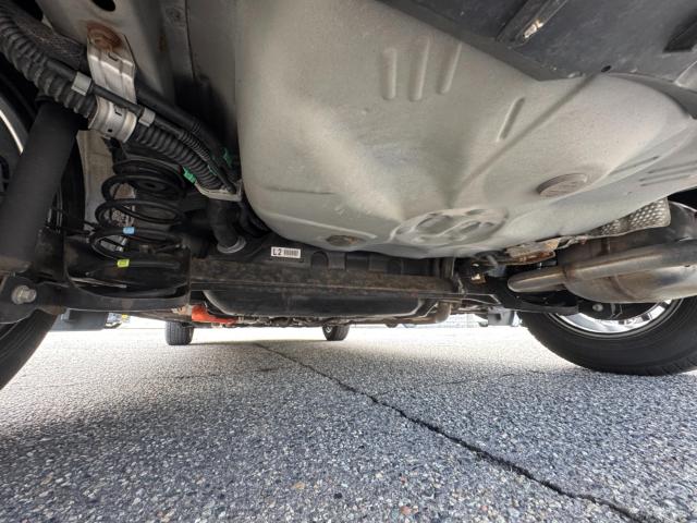 ヴィッツ（新潟県新潟市西区）