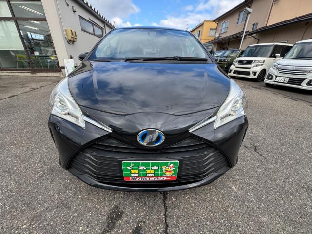 ヴィッツ（新潟県新潟市西区）