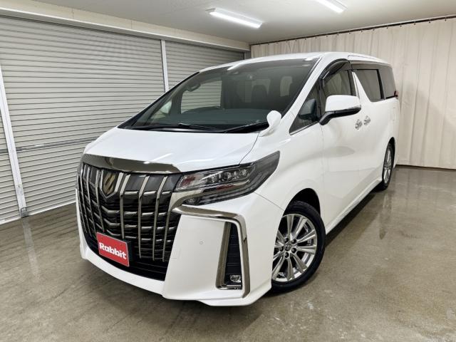 アルファード（新潟県長岡市）