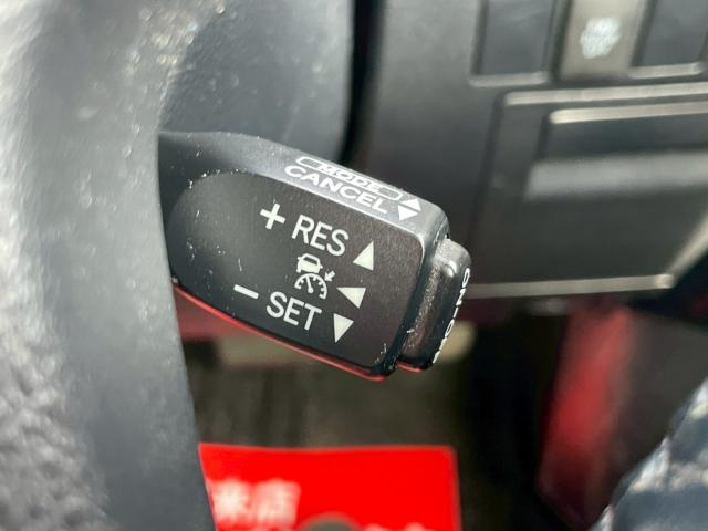 ヴェルファイア（新潟県新潟市南区）画像19