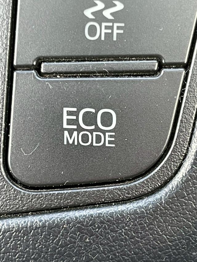 ヴェルファイア（新潟県新潟市南区）画像33