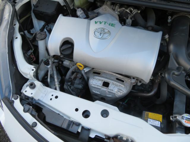 シエンタ（新潟県新潟市中央区）