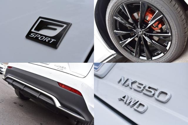 レクサスＮＸ（新潟県新潟市西区）