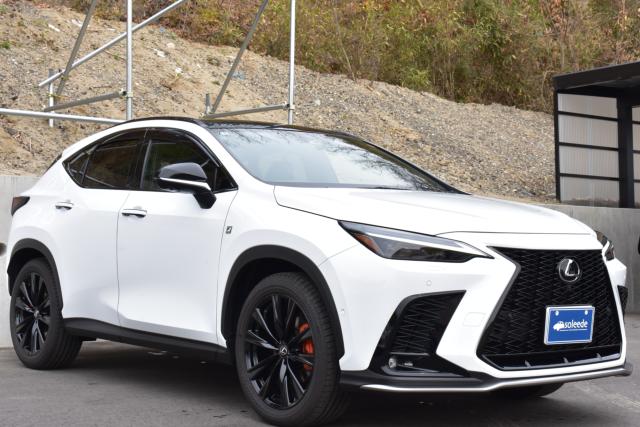 レクサスＮＸ（新潟県新潟市西区）