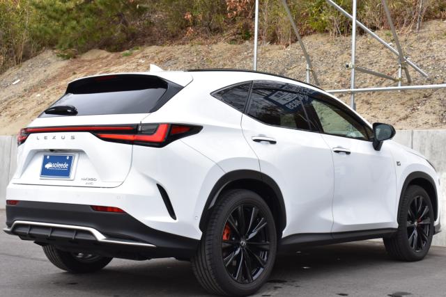 レクサスＮＸ（新潟県新潟市西区）