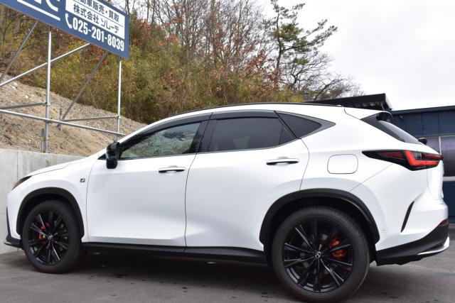 レクサスＮＸ（新潟県新潟市西区）