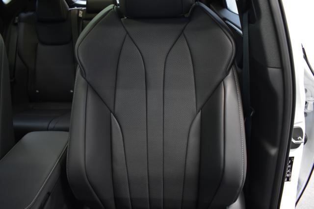 レクサスＮＸ（新潟県新潟市西区）