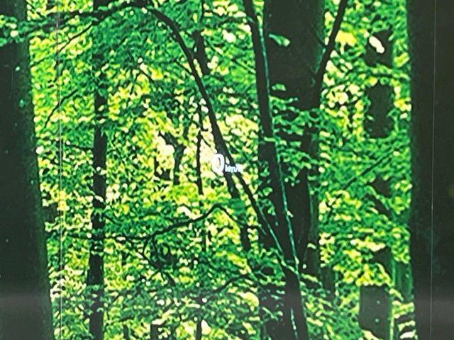 CX-5（新潟県長岡市）