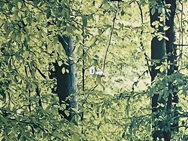 CX-8（新潟県新潟市東区）画像69