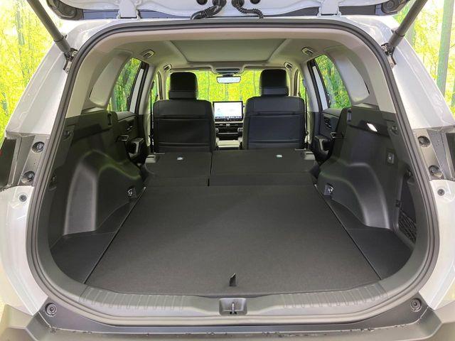 ＲＡＶ４（新潟県新潟市南区）