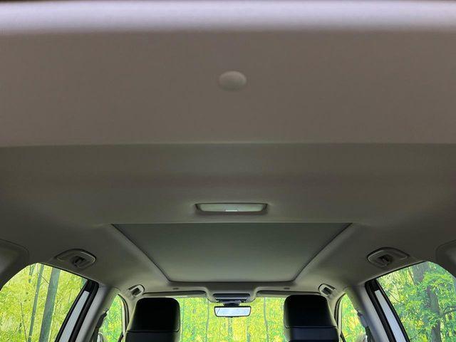 ＲＡＶ４（新潟県新潟市南区）