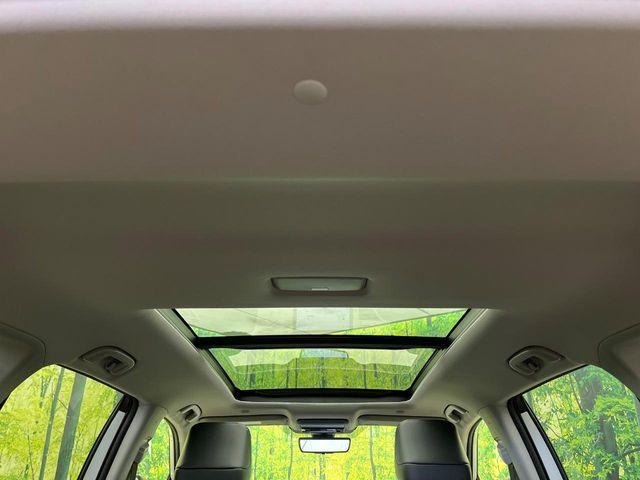 ＲＡＶ４（新潟県新潟市南区）