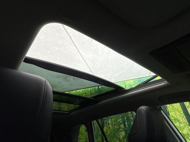 ＲＡＶ４（新潟県新潟市南区）