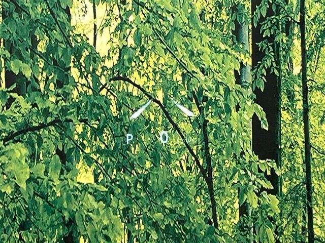 ＲＡＶ４（新潟県新潟市南区）