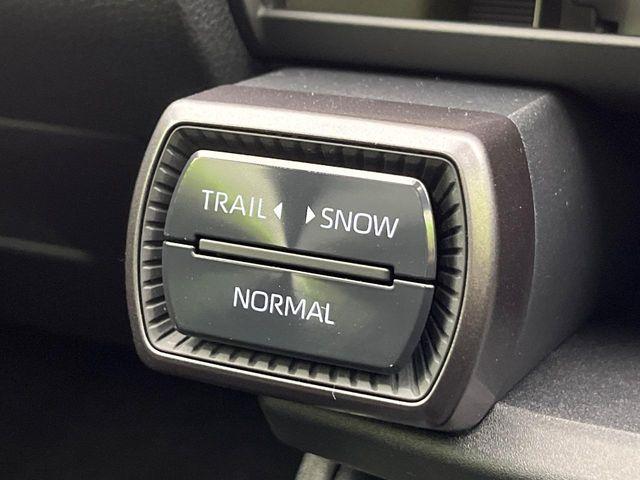 ＲＡＶ４（新潟県新潟市南区）