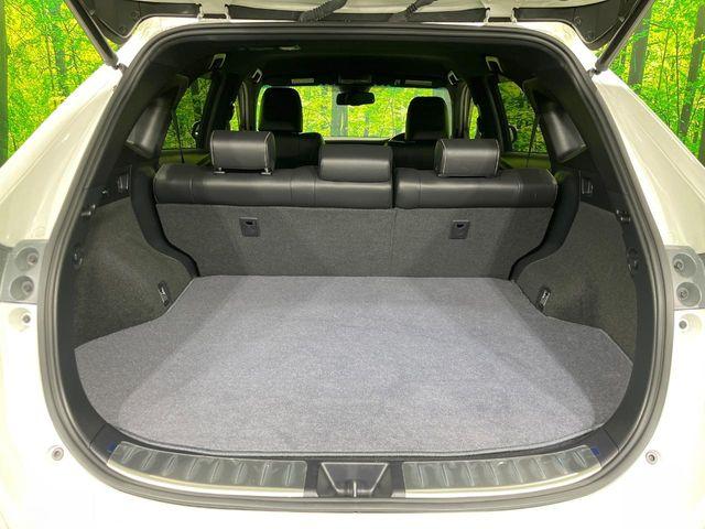 ハリアー（新潟県長岡市）画像10