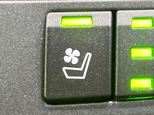 レクサスＮＸ（新潟県長岡市）