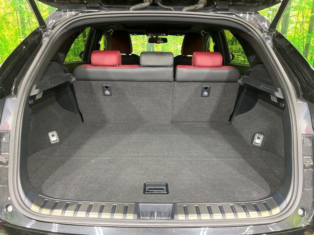 レクサスＮＸ（新潟県長岡市）