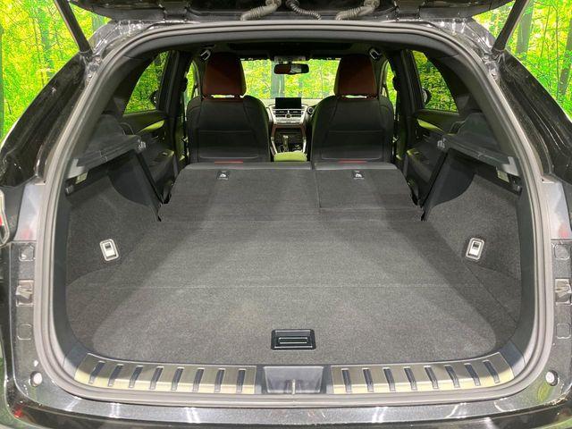 レクサスＮＸ（新潟県長岡市）