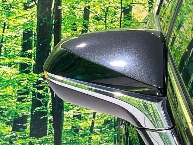 レクサスＮＸ（新潟県長岡市）