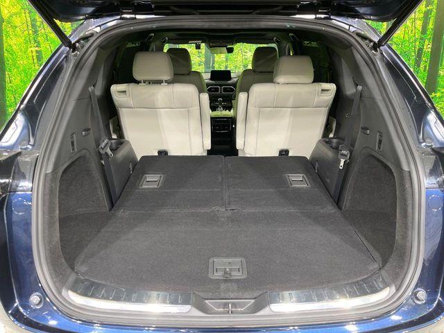 CX-8（新潟県長岡市）画像11