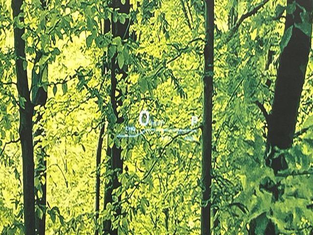 ハリアーハイブリッド（新潟県新潟市南区）画像7