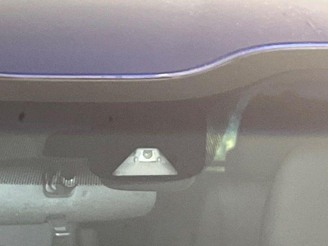 フリード（新潟県新潟市南区）