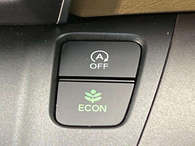 フリード（新潟県新潟市南区）