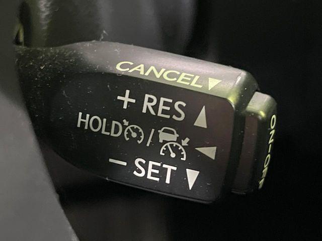 ヴェルファイア（新潟県長岡市）