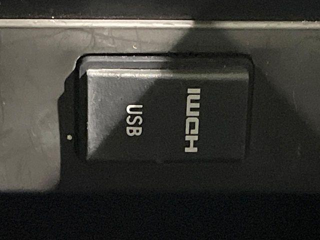 ヴェルファイア（新潟県長岡市）