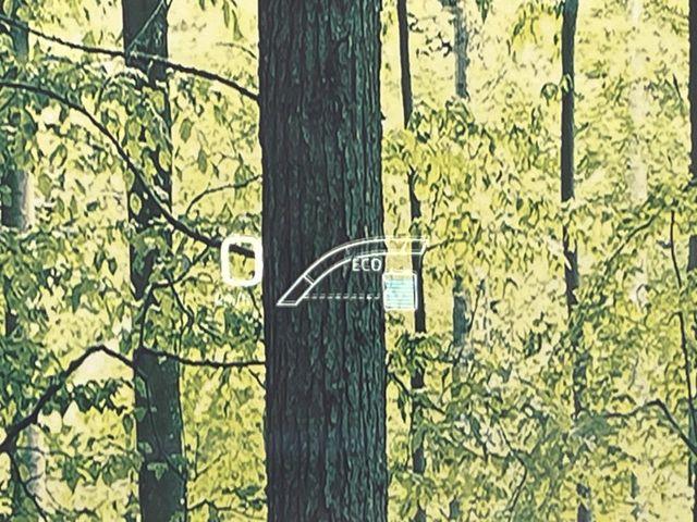 プリウス（新潟県新潟市南区）