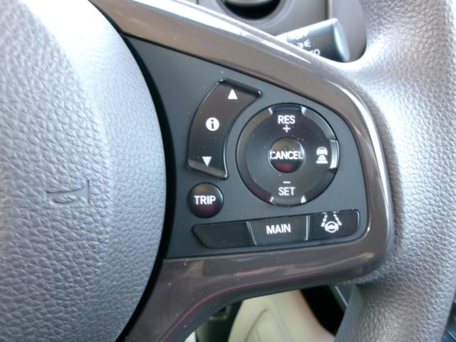 N＿BOX（新潟県新潟市秋葉区）