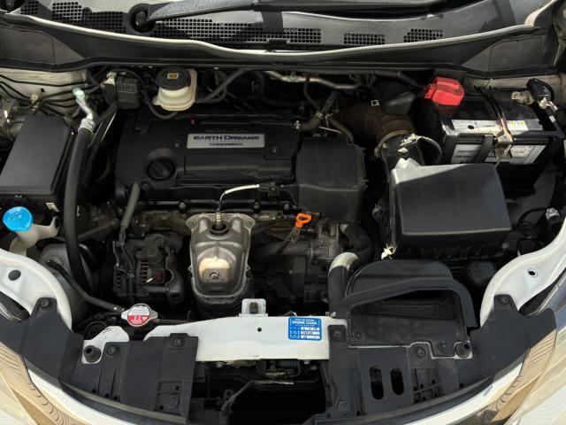 オデッセイ（新潟県新潟市北区）画像31