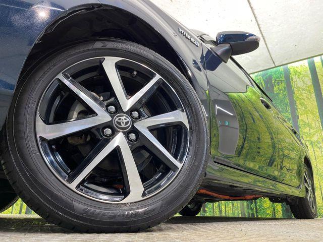 カローラフィールダー（新潟県新潟市南区）画像13