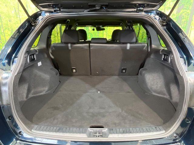 カローラフィールダー（新潟県新潟市南区）画像32