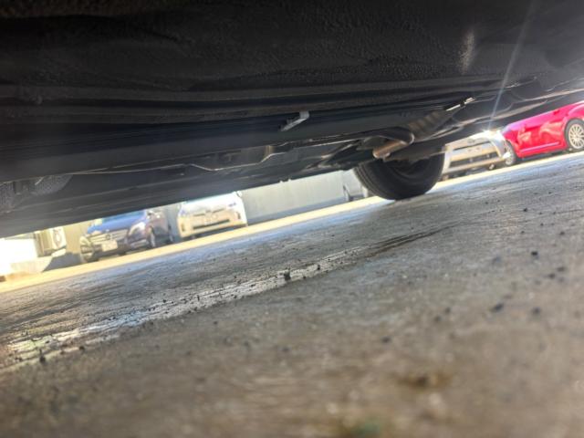 マーチ（新潟県新潟市北区）画像17