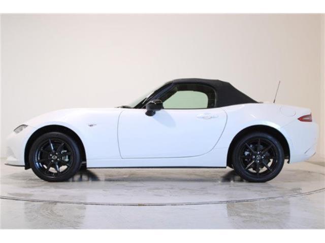 ロードスター（新潟県新潟市東区）