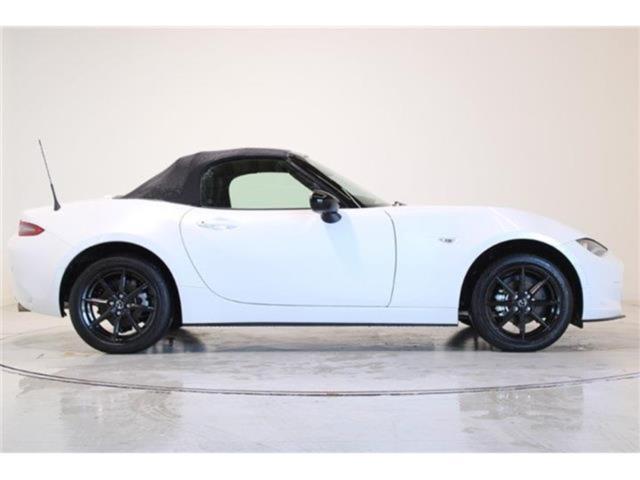 ロードスター（新潟県新潟市東区）