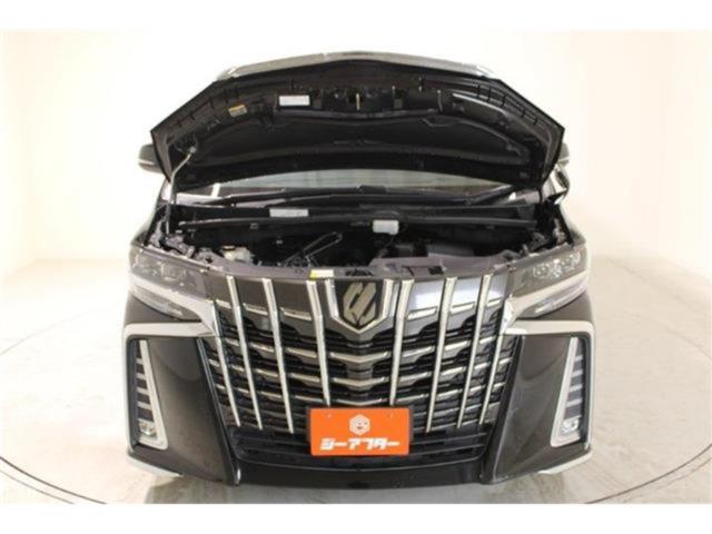 アルファード（新潟県新潟市東区）