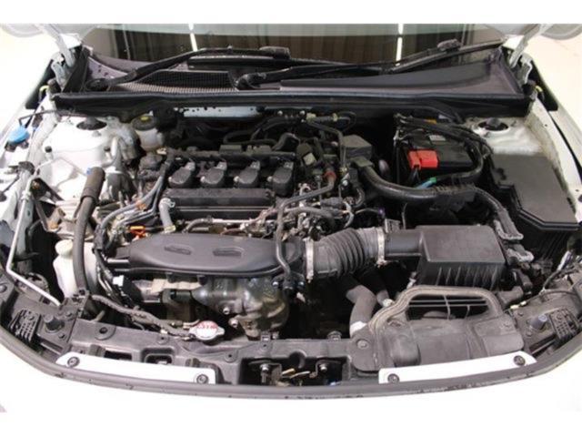 シビック（新潟県新潟市東区）