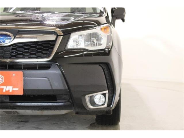 フォレスター（新潟県新潟市東区）