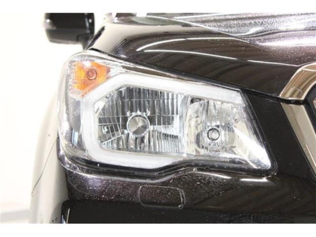 フォレスター（新潟県新潟市東区）