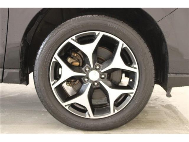 フォレスター（新潟県新潟市東区）