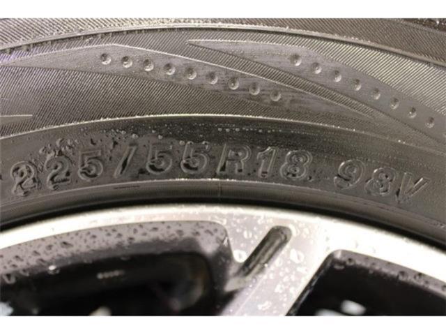 フォレスター（新潟県新潟市東区）