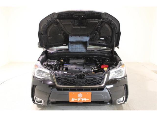 フォレスター（新潟県新潟市東区）