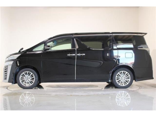 ヴェルファイア（新潟県新潟市東区）