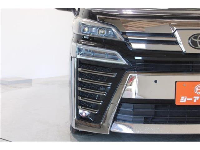 ヴェルファイア（新潟県新潟市東区）