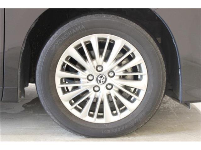 ヴェルファイア（新潟県新潟市東区）