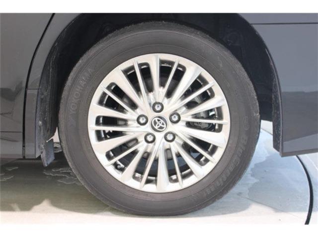 ヴェルファイア（新潟県新潟市東区）